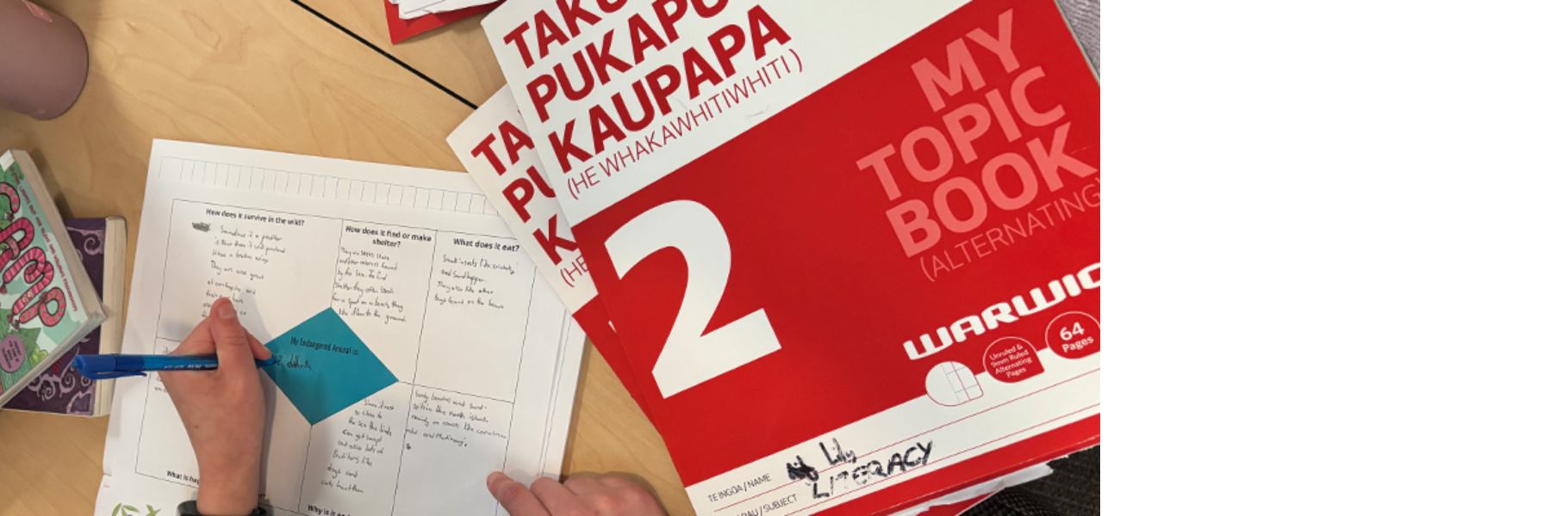 Hobsonville Point Primary School